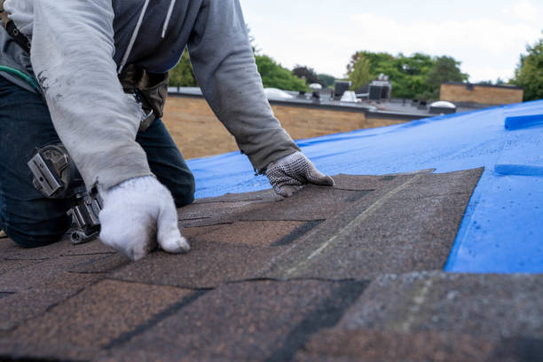 Best Roof Ventilation Installation  in East Lansing, MI